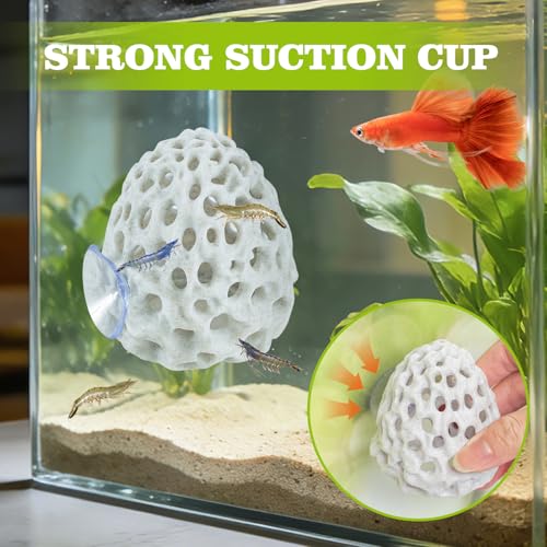 Image of Shrimp Dome Hide, Shrimp Hides for Aquarium, Betta Fish Hideout with Suction Cup, Betta Habitat Tank Ornament Accessories, Aquarium Decor for Small Fish Guppy Hiding Resting (White)