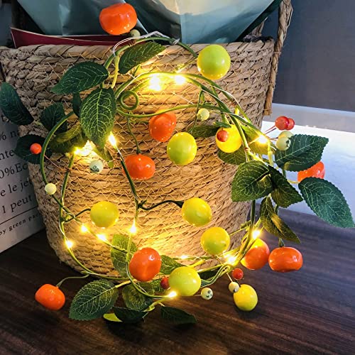 Fruits Vignes Guirlande Lumineuse 2m 20LED avec Citron Mandarine Artificielles et Guirlande de Baie Feuille en LED en Fil de Cuivre pour Mariage,écorations d'intérieu,Jardin Décoration (1) Cover