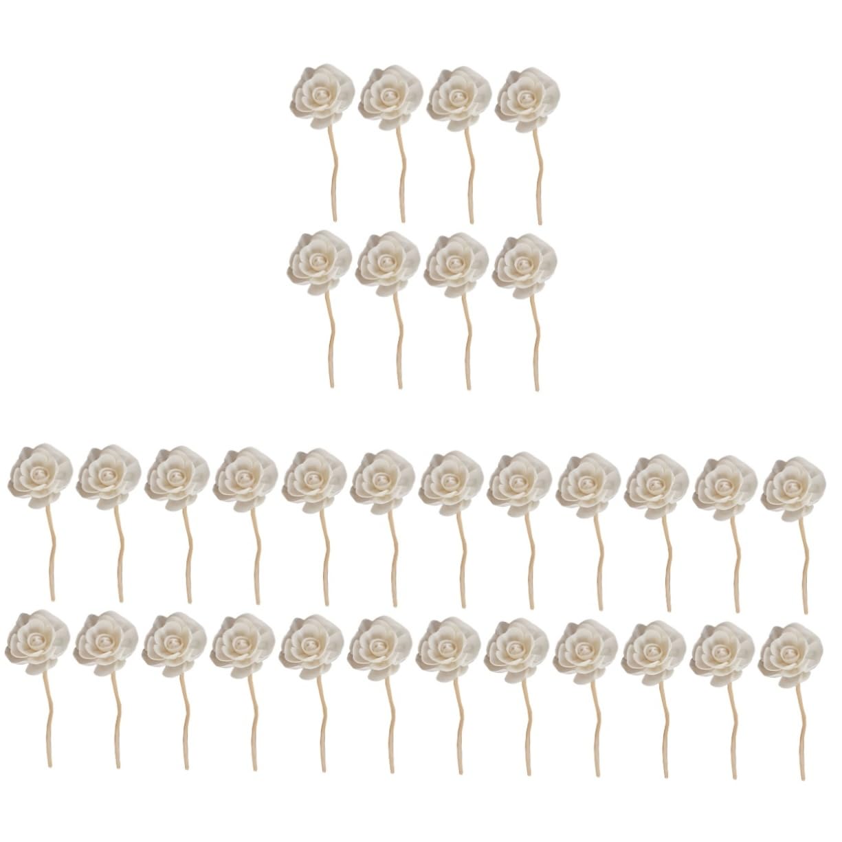 MAGICLULU 32stücke Teiliges Rattan Aromatherapie Diffuser-stäbchen Mit Trockenblumen Handgemachte Duftstäbchen Für Ätherische Öle Für Raumduft Und Entspannung