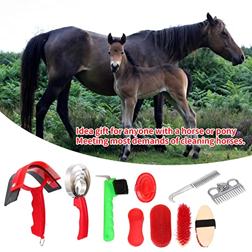 Awagas 10Pcs Horse Cleaning Tool Set, Horse Brushes Kit, Horse Brush Kit, Horse Grooming Brush Set, Horse Grooming Tools Set, Horse Grooming Set Horse Grooming Body Brush Kit For Horse Cleaning #TOP3