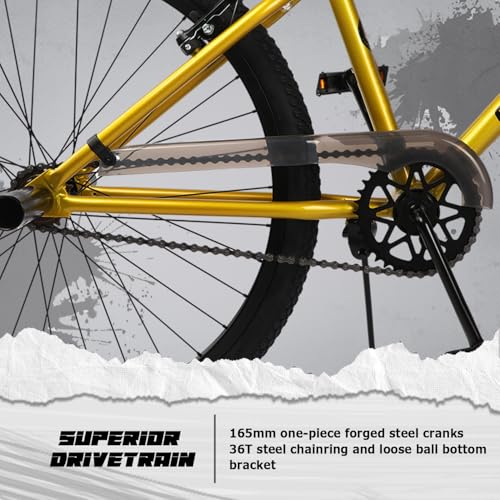 cubsala 20 Inch Gold BMX Race