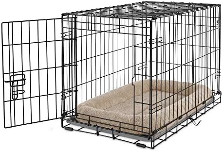 long coat belgian malinois