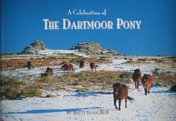 Paperback A Celebration of the Dartmoor Pony Book