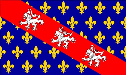Drapeau Rhône-Alpes grand format extérieur pavillon tissu polyester