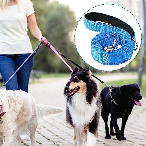 FJMQHU 2 Pack Reflective Dog Leash Nylon Leash Walking Training with Soft Padded Handle and D Suitable for Dog Walking Nighttime Obedie - 2