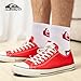 Quiksilver Mens Socks 8 Pairs Ankle Socks for Men Premium Athletic Shoe Size 8-12