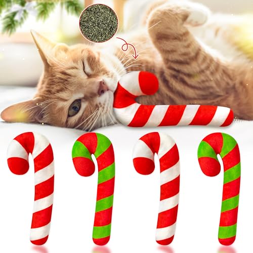 4 jouets herbe à chat MALLMALL6 en forme de canne de Noël