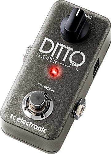 TC Electronic Ditto Looper with simple guitar-focused controls