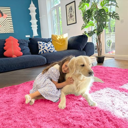 OLANLY 2x3 Machine Washable Small Bedside Rug, Soft Fluffy Shaggy Entryway Throw Rugs for Bedroom, Living Room, Indoor Floor Carpet for Kids Girls Boys, Nursery Rooms, Home Decor Aesthetic, Hot Pink