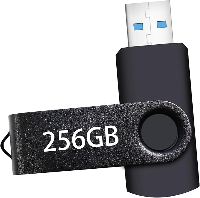 USB Flash Drive 256GB, Portable Thumb Drive: Memory Stick 256GB, ...