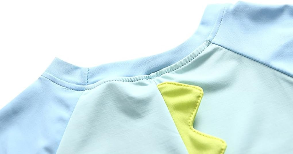 Baby Toddler Boys Two Pieces Swimsuit Set Swimwear Dinosaur Bathing Suit Rash Guards with Hat UPF 50+: Clothing, Shoes & Jewelry