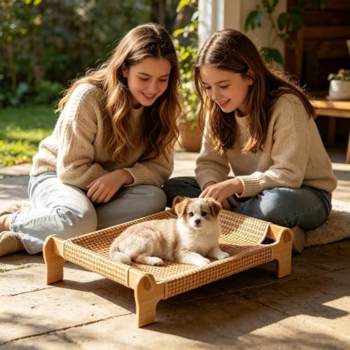 Cama exterior de gatos transpirable y elevada con base de madera 3