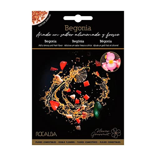 Semillas de flores comestibles de Begonia Rocalba