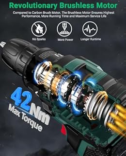 Trapano Avvitatore Batteria Brushless 21V, CEEIGOO Avvitatore a Batteria con 2 Batterie da 2.0Ah, 42N.m di Coppia, 2 Velocità, 18+1 Coppia, 14 Accessori, Luce a LED, Per il fai da te