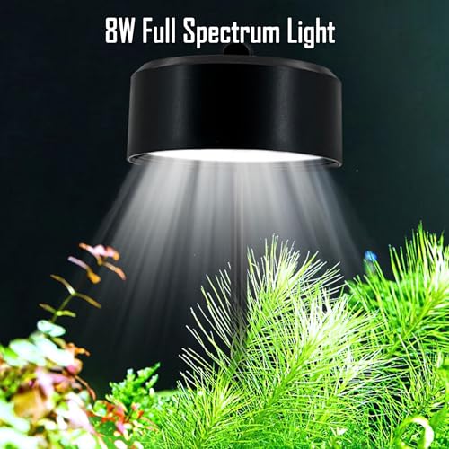 Image of Fish Tank Starter Kits, Low Iron Glass Aquarium with Filter, Led Light for Aquascape DIY Small Betta Fish Tank (6 Gallons)