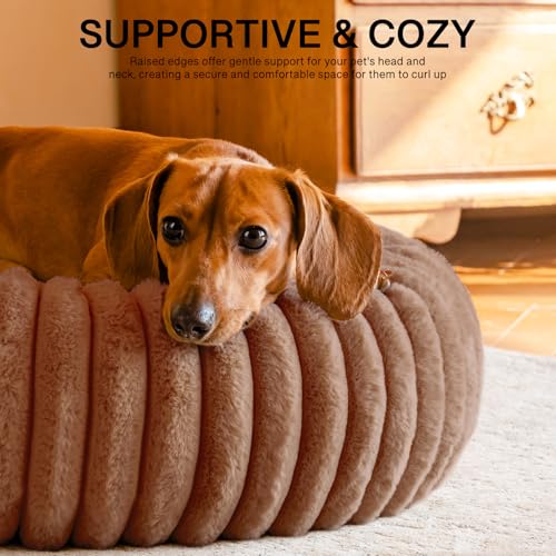 MEWOOFUN Hunde-Donut-Betten für kleine Hunde, beruhigendes Hundebett, rundes süßes Welpenbett mit Rutschfester Unterseite, Flauschiges (Braun, 64x64x18cm)