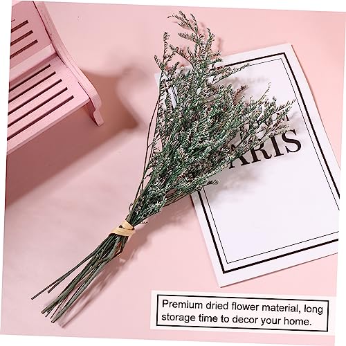 Ramo de flores secas Gypsophila x3 para decoración miniatura 5