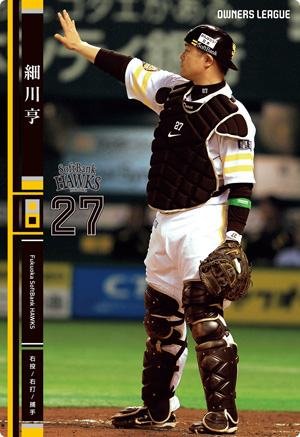 オーナーズリーグ 優先希望 確認用 オーナーズリーグ 優先希望 確認用 Amazon.co.jp: 大和 グレート