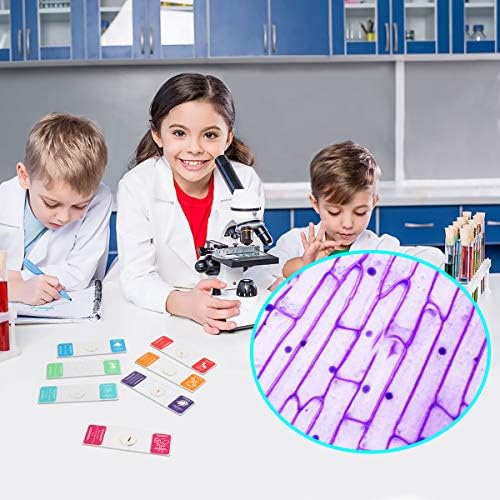 Bysameyee 35PCS Prepared Microscope Slides with 7 Types Specimens, Insect/Plant Glass Sample Slide for Kids Adults Family Preschool Education Scientific Enlightenment 6 51vpl0kYQML. AC