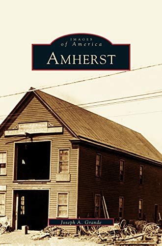 Amherst view 2