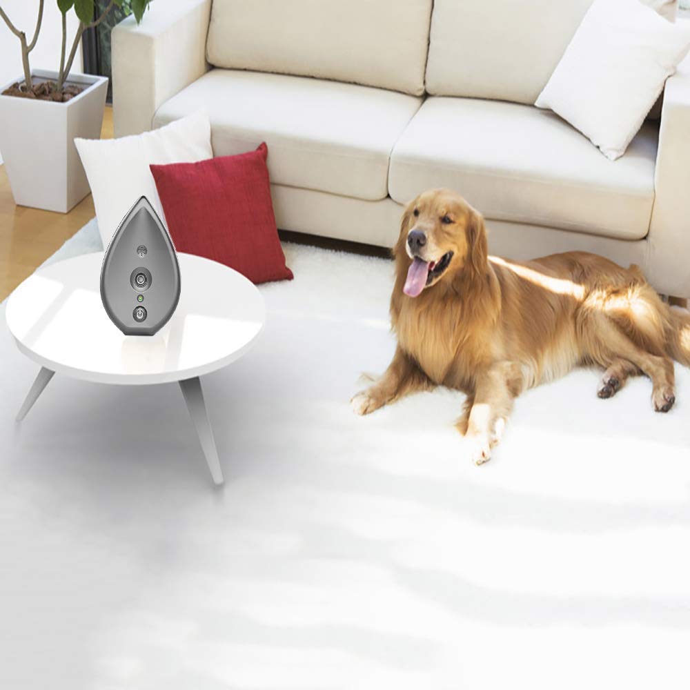 Dispositif de contrôle des aboiements de Chien dissuasif par ultrasons Contre Les aboiements de Chiens Formateur Portable et intérieur et Forme de Goutte d'eau et Gris