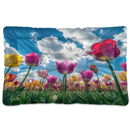 Fuauuyl Hermosos tulipanes (1) almohadilla suave para cama de perro, lavable a máquina, con parte inferior antideslizante para dormir de perro, 61 x 45 cm