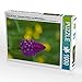 Produktbild CALVENDO Puzzle Zauber der Natur - Heimische Orchideen und Wiesenblumen 1000 Teile Lege-Größe 48 x 64 cm Foto-Puzzle Bild von PuraVida