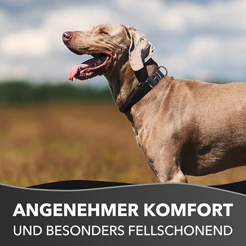 Rund & Weich - Zugstopp Hundehalsband Schwarz XL - 60cm Lederhalsband mit Zugbegrenzung und Verstellbarer Schnalle, Dressurhalsung, Zugstopper, robust, Rindsleder
