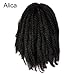 Alica 3 Packs Afro Kinky Marley Braids Hair Extensions Kanekalon Synthetic Twist Crochet Braiding Hair for Women 18 inchs (18