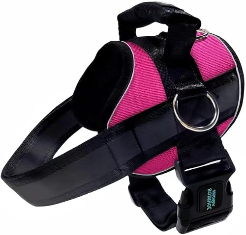 Joyride Harness for Dogs, No-Pull Pet Harness with Customizable Name Tag, Glow in The Dark Logo, 3 Side Rings for Leash Placement, Adjustable Pet Vest for Training and Walking, Easy On-Off Technology