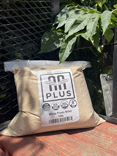 Premium White Proso Millet Bird Seed Feed,10Lbs Bulk Bag #TOP7