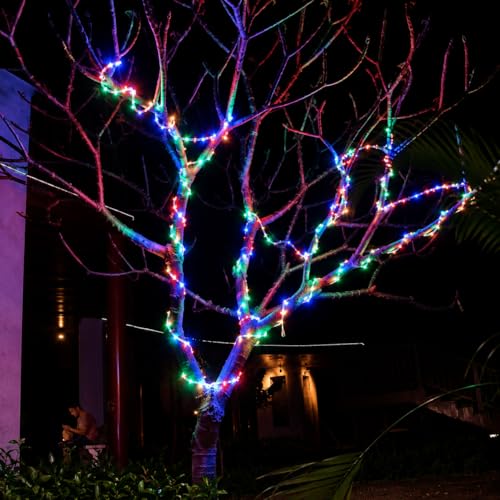 Image of COXO 5 Meters LED Rope Light for Decoration - Waterproof 6 Color Multi SMD Cove Light for Ceiling, Home Decor, LED Pipe Light for Diwali, Festival, Indoor, Outdoor Use (Multicolor, 5 Meter)