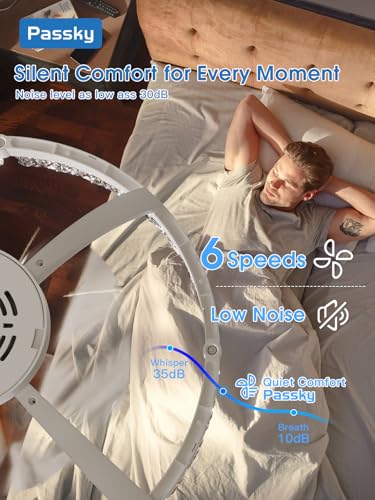 Image of Passky 20 inch Ceiling Fans with Lights and Remote, Low Profile Fandelier