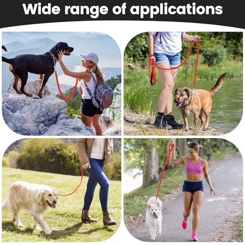 HAPPY HACHI Schleppleine für Hunde, 3m /5m /10m /15m /20m /25m /30m /33m Nylon Hundeleine mit Handschlaufe, Trainingsleine mit D-Karabiner,Lange Hundeleine,für Gehorsamkeitstraining (Rot, 5m)