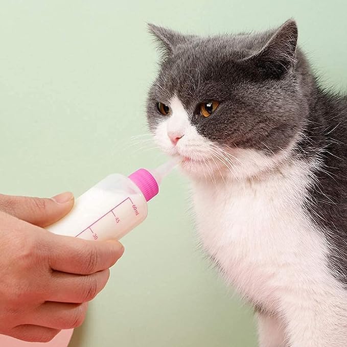 Bottiglia Per Il Latte Della Holding Del Neonato Immagine Stock - Foto 11