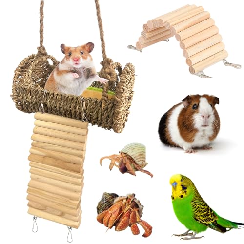 Image of Rainmae Hideout or Climbing Toy for Small Breeds, Wood Pet Activity Structure for Hermit Crab, Hamsters, Rats, Birds, Guinea Pig, Gerbil, Ferret