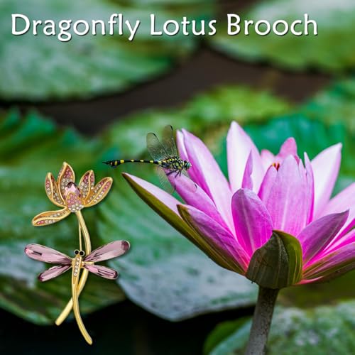 Image of Fashion Dragonfly Booch Pin Jewelry Gift for Women