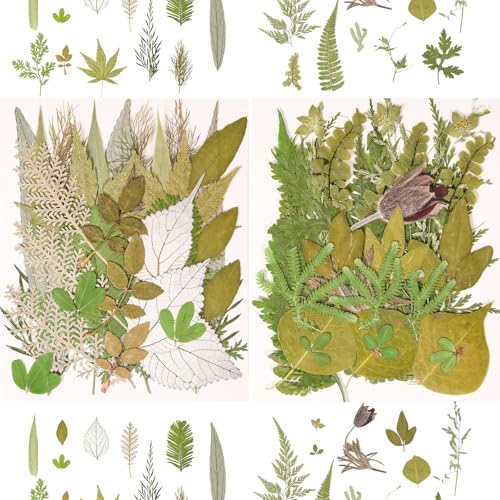 Image of 100 PCS Real Pressed Dried Leaves with Tweezers | Natural Dried Flowers, For Resin, Candle, Jewelry, Scrapbooking & DIY Crafts, Leaves 100
