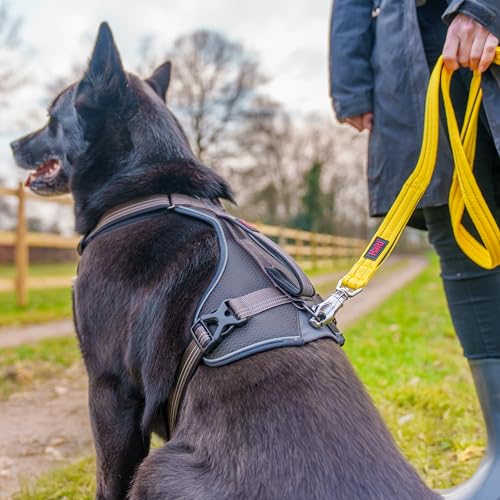 Image of Halti BRIG Safety Dog Leash | Neon Yellow, 1.5m Length