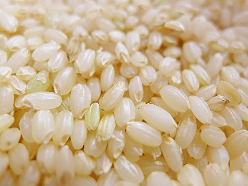 Amazon.co.jp: 淡雪こまち 秋田県 JAかづの (玄米, 30kg) : 食品・飲料