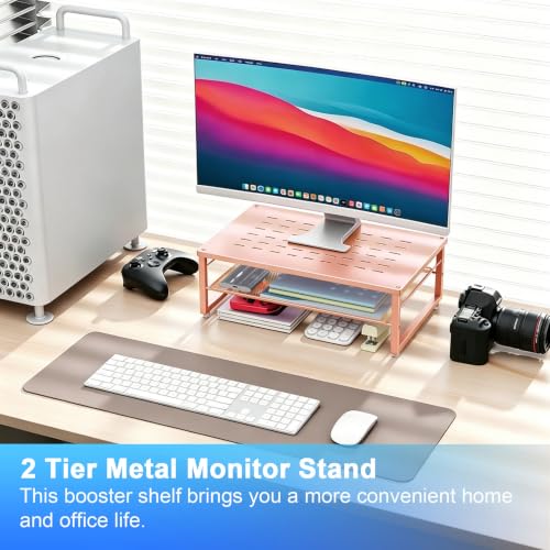 Image of gianotter 2-Tier Metal Monitor Stand Riser