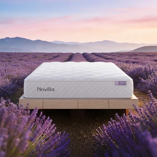 �yLavender �}�b�g���X�z Novilla �}�b�g���X �N�C�[�� �V�R���x���_�[���n �����𑣂� �d�߃R�C�� �d��180N �G�b�W�T�|�[�g�̋��� ������ �����x�E���^���t�H�[�� �Ɨ��R�C��667�� ���s�z�� �̈����U �ʋC�P�� �x�b�h�}�b�g���X �ʋC