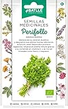 Semillas Medicinales - Perifollo - Semillas Batlle