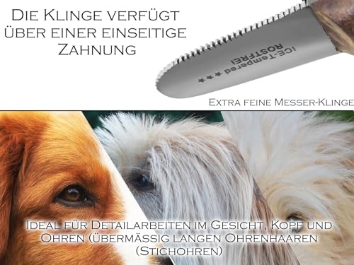 Trimmmesser für die Ohren Hunde und Katze mit sehr feiner Zahnung. Für Stehohren Kopf Pfoten Fellpflege. Kleine Ausführung Fellmesser Hundeschere Messer Kamm