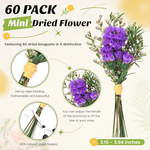 Mini flores secas bouquet olvídame no 60 pcs miniatura 3