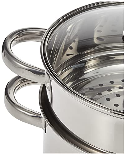 طقم مكواة بخار من الستانلس ستيل بطبقتين من ويلسون، 20 سم، Jy-174/20، فضي