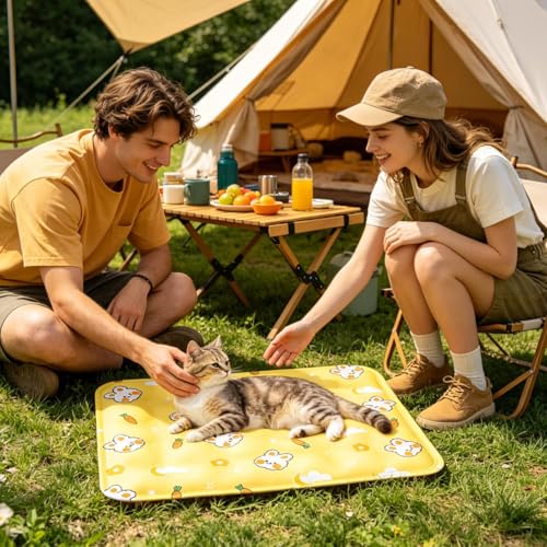 Tapis rafraîchissant pour chiens et chiots - Coussin pliable bleu pour l'été