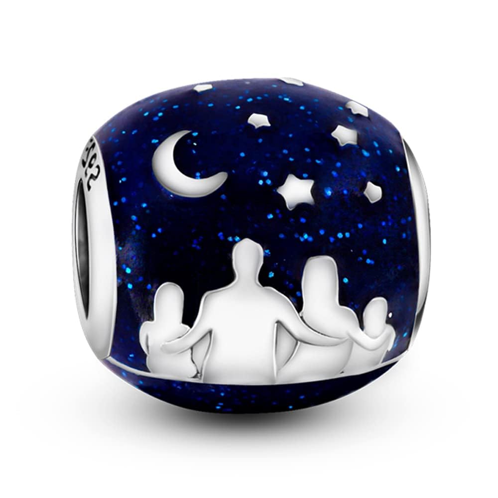 TINSLO Ciondolo Argento Sterling 925 con Cubic Zirconia Pendenti per Pandora Braccialetti, Compatibile con Braccialetti e Collane europei, perfetto Regali per Moglie e Ragazze B1