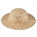 HEALLILY Peinture Chapeau Paille Bricolage Chapeau de Paille Dété Chapeau Soleil Plage Art Peinture Chapeau Poupée Artisanat Peinture Accessoires Décoration (Diamètre 10 Cm)