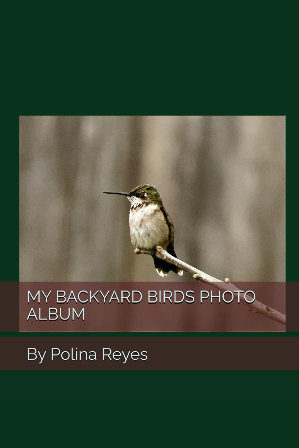 MY BACKYARD BIRDS PHOTO ALBUM